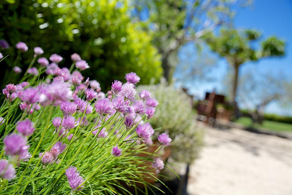 Agriturismo Le Colombe أسيسي المظهر الخارجي الصورة