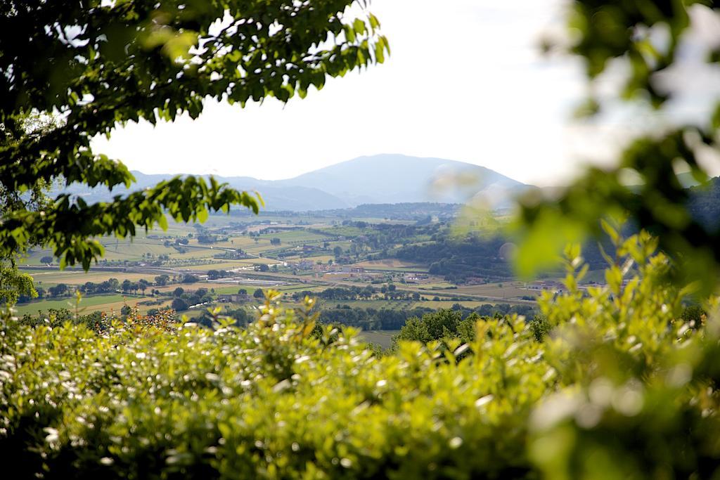 Agriturismo Le Colombe أسيسي المظهر الخارجي الصورة