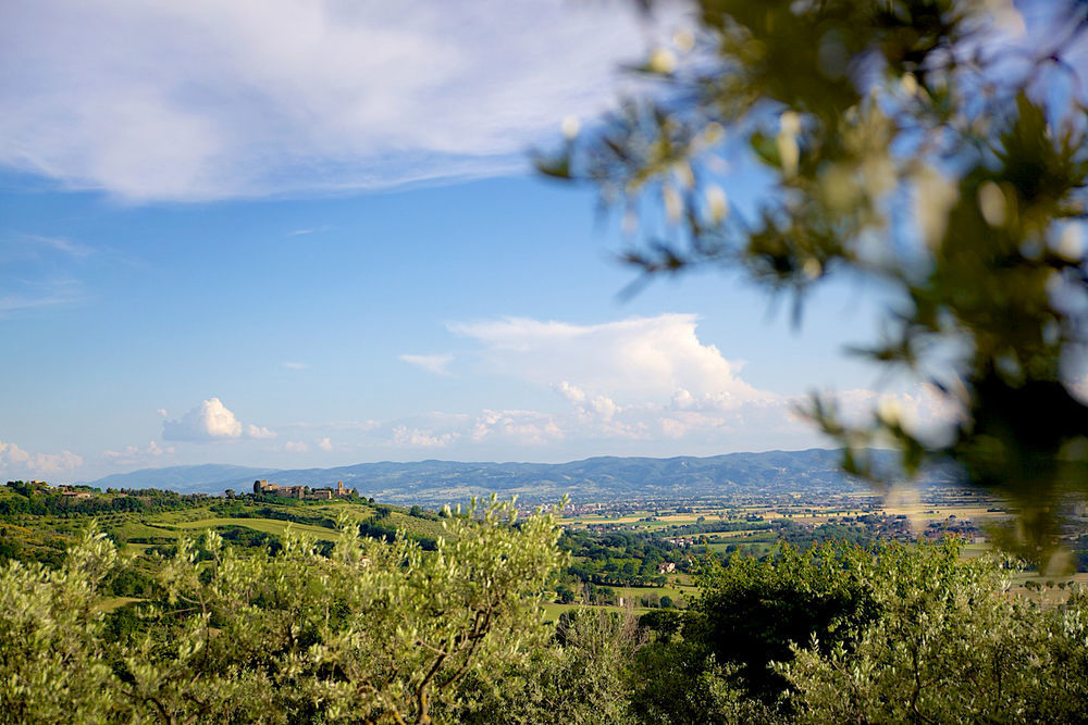 Agriturismo Le Colombe أسيسي المظهر الخارجي الصورة