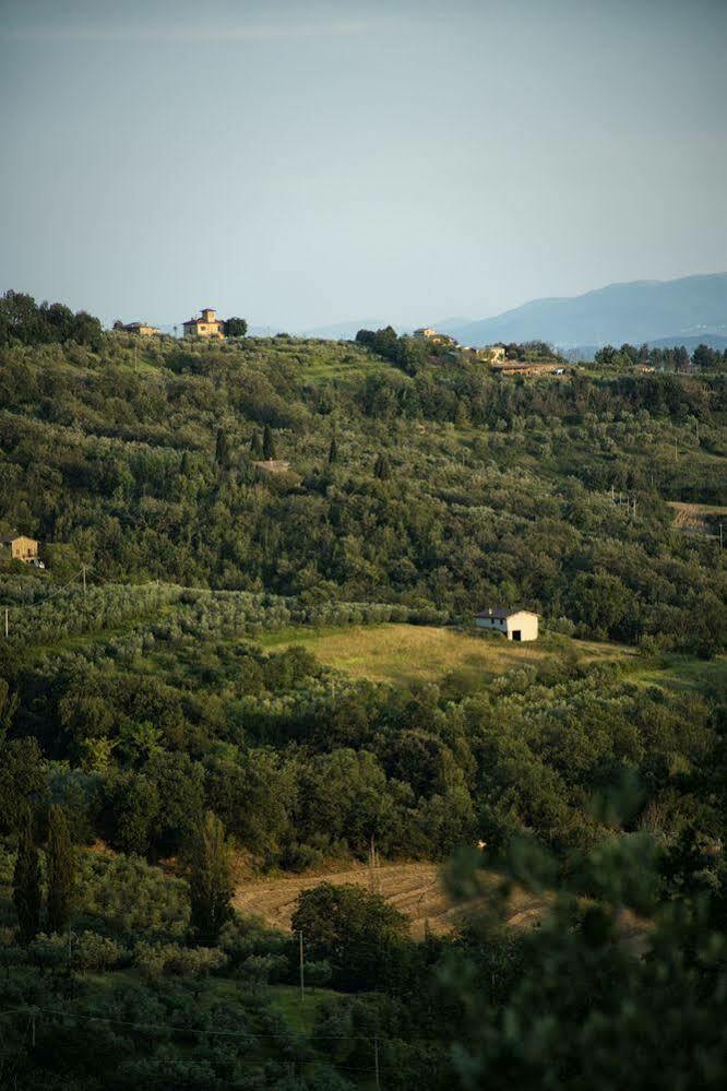 Agriturismo Le Colombe أسيسي المظهر الخارجي الصورة